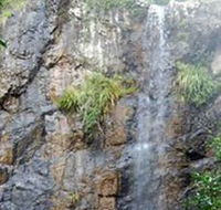 Wedding Bells Forest Drive - Attractions Brisbane