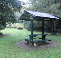 Pine Creek State Forest - Attractions Brisbane