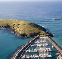 Muttonbird Island Nature Reserve - Attractions Brisbane