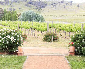 Brindabella Hills Winery - Attractions Brisbane 0