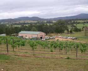 Villa D Esta Vineyard - Attractions Brisbane 0