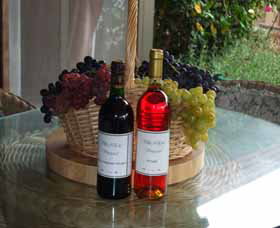 Villa D Esta Vineyard - Attractions Brisbane 2