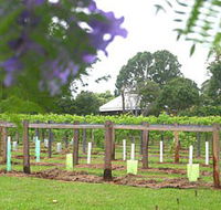 Douglas Vale Historic Homestead  Vineyard - Attractions Brisbane