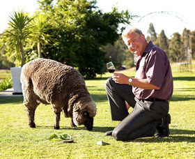 Moorebank Private Vineyard - Attractions Brisbane 2