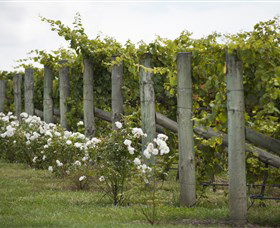Lambert Vineyards Cellar Door - Attractions Brisbane 2