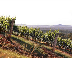 Briar Ridge Vineyard - Attractions Brisbane 1