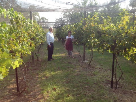 Holland Wines - Attractions Brisbane 8