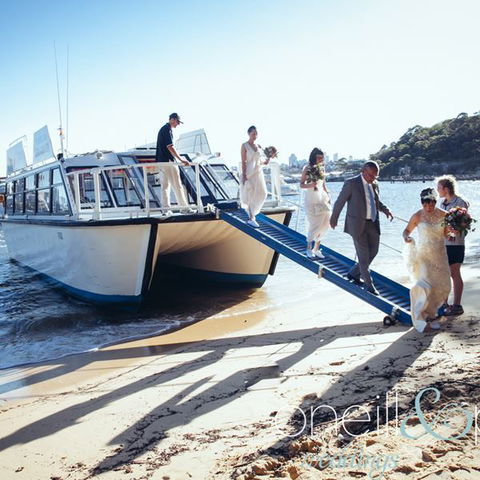 H2O Maxi Taxis - Attractions Brisbane 3