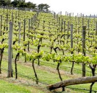 Bantry Grove - Attractions Brisbane