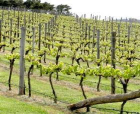 Bantry Grove - Attractions Brisbane 0