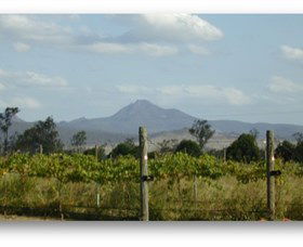 Ironbark Ridge Vineyard Purga