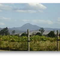 Ironbark Ridge Vineyard - Attractions Brisbane