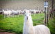 Gemtree Vineyards Cellar Door - thumb 0