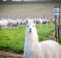 Gemtree Vineyards Cellar Door - Attractions Brisbane