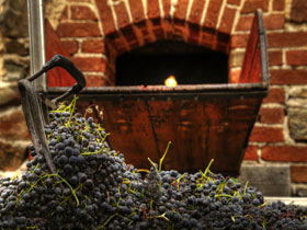 Rockford Wines - Attractions Brisbane 2