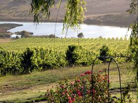 Mount Jagged Wines - Attractions Brisbane 2