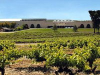 Taylors Wines