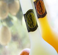 Ambra Limoncello - Attractions Brisbane