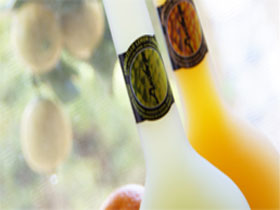 Ambra Limoncello - Attractions Brisbane 0
