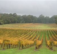 Boat O'Craigo Wines - Attractions Brisbane