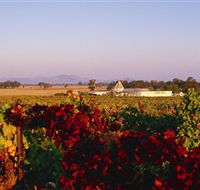 Morris Wines - Attractions Brisbane