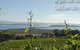 Coal Valley Vineyard - thumb 5