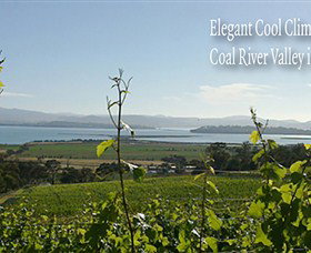 Coal Valley Vineyard - Attractions Brisbane 5