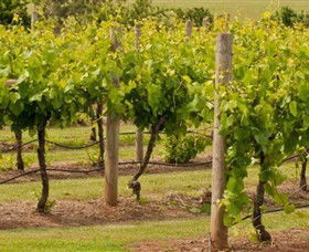 Coghills Creek VIC Attractions Brisbane