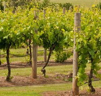 Mt Coghill Vineyard - Attractions Brisbane