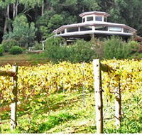 Peveril Vineyard/Beechy Berries - Attractions Brisbane