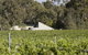 Harcourt Valley Vineyards - thumb 2