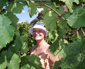 Harcourt Valley Vineyards - Attractions Brisbane 5