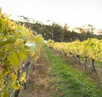 Harcourt Valley Vineyards - Attractions Brisbane