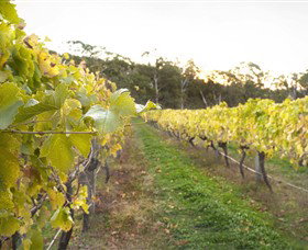 Harcourt Valley Vineyards - Attractions Brisbane 0