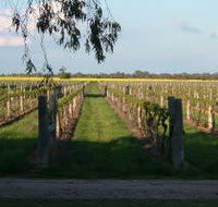 Water Wheel Vineyards - Attractions Brisbane