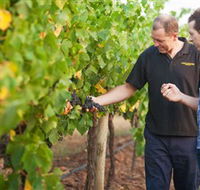 Fratin Brothers Vineyard - Attractions Brisbane