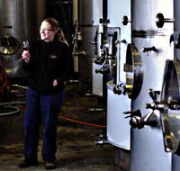 Holm Oak Vineyard - Attractions Brisbane