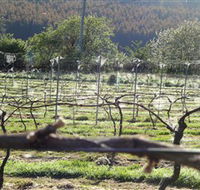 Three Willows Vineyard - Attractions Brisbane