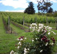 Pembroke Estate Vineyard - Attractions Brisbane
