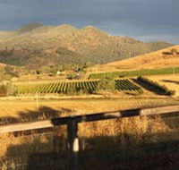 Optimiste Wines - Attractions Brisbane