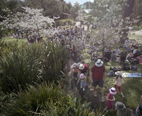 Royal Botanic Gardens Victoria - Attractions Brisbane 7