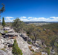 Munghorn Gap Nature Reserve - Attractions Brisbane