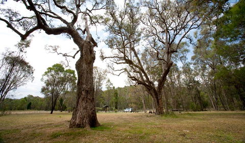 Munghorn Gap Nature Reserve - Attractions Brisbane 3