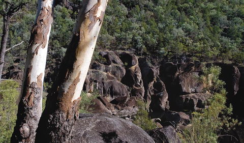 Macintyre Falls Lookout - Attractions Brisbane 3