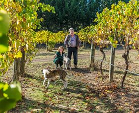 Koriella VIC Attractions Brisbane