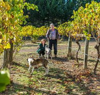 Little River Wines of Taggerty - Attractions Brisbane