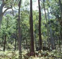 Cathedral Range State Park - Attractions Brisbane