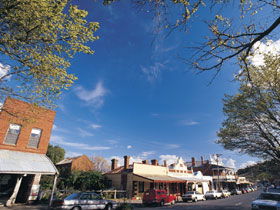 Drysdale Cheeses - Attractions Brisbane 1