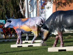 Drysdale Cheeses - Attractions Brisbane 6