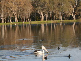 Drysdale Cheeses - Attractions Brisbane 7